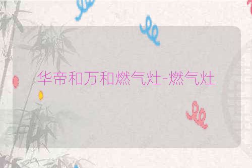 华帝和万和燃气灶-燃气灶