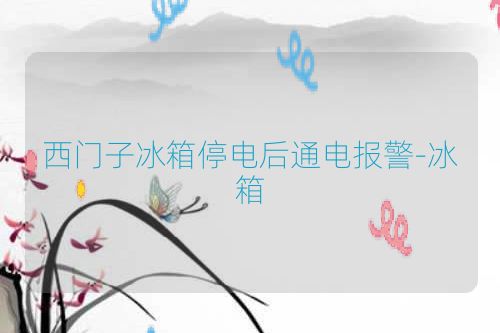 西门子冰箱停电后通电报警-冰箱