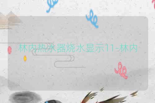 林内热水器烧水显示11-林内