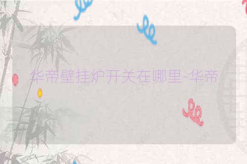 华帝壁挂炉开关在哪里-华帝