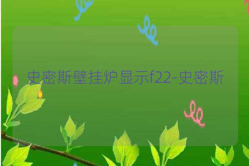 史密斯壁挂炉显示f22-史密斯