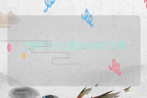 空调为什么要投标呢-空调