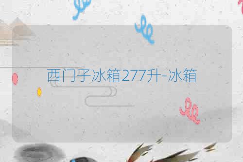 西门子冰箱277升-冰箱