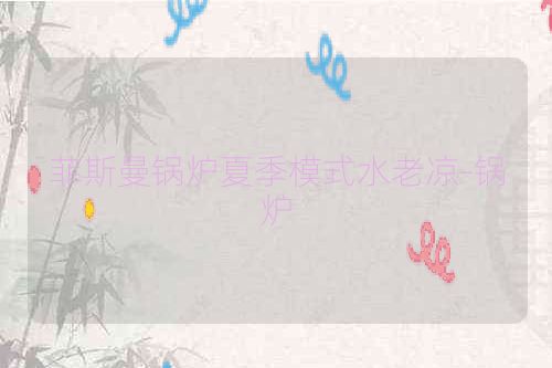 菲斯曼锅炉夏季模式水老凉-锅炉
