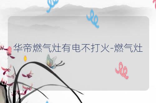 华帝燃气灶有电不打火-燃气灶