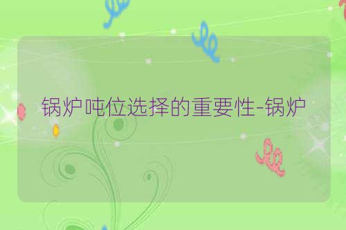 锅炉吨位选择的重要性-锅炉