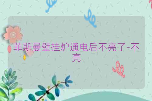 菲斯曼壁挂炉通电后不亮了-不亮