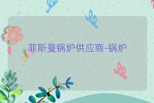 菲斯曼锅炉供应商-锅炉