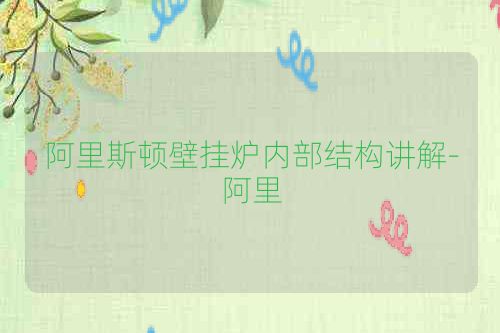 阿里斯顿壁挂炉内部结构讲解-阿里
