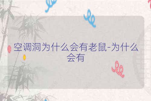空调洞为什么会有老鼠-为什么会有