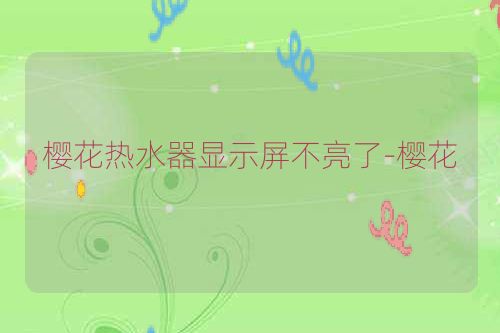 樱花热水器显示屏不亮了-樱花