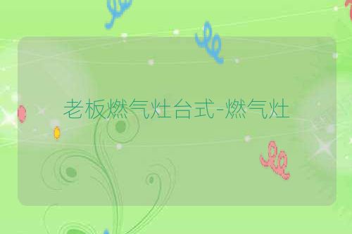 老板燃气灶台式-燃气灶