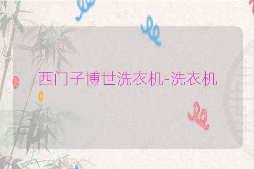 西门子博世洗衣机-洗衣机