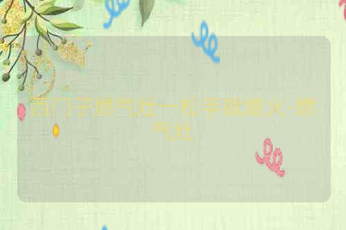 西门子燃气灶一松手就熄火-燃气灶