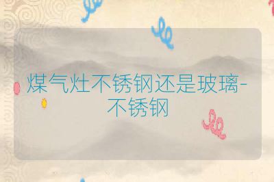 煤气灶不锈钢还是玻璃-不锈钢