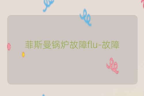 菲斯曼锅炉故障flu-故障