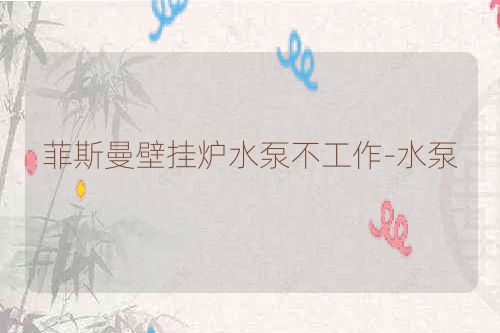 菲斯曼壁挂炉水泵不工作-水泵