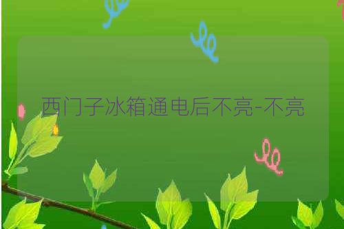 西门子冰箱通电后不亮-不亮