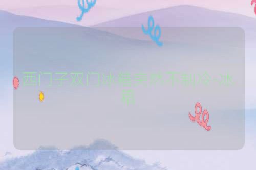 西门子双门冰箱突然不制冷-冰箱