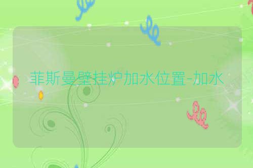 菲斯曼壁挂炉加水位置-加水