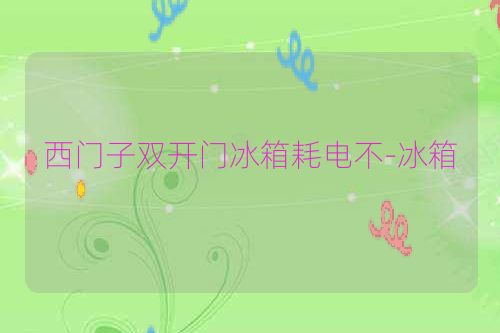 西门子双开门冰箱耗电不-冰箱