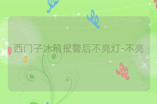 西门子冰箱报警后不亮灯-不亮