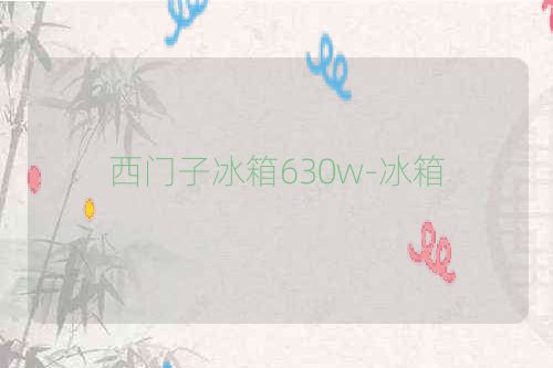 西门子冰箱630w-冰箱