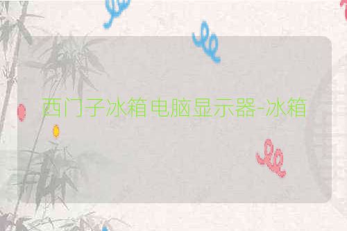 西门子冰箱电脑显示器-冰箱