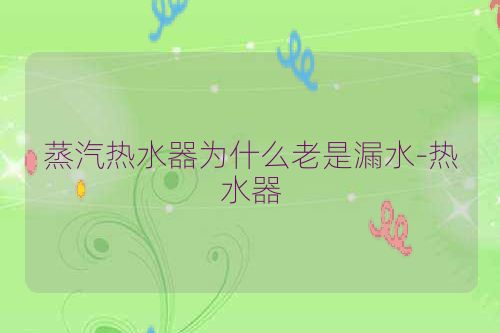 蒸汽热水器为什么老是漏水-热水器