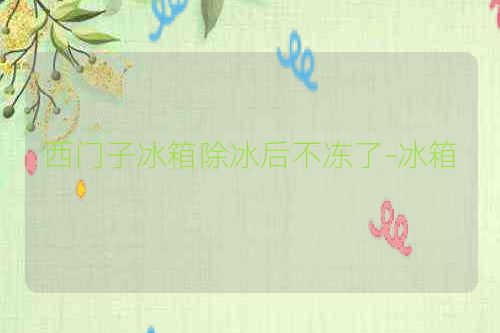 西门子冰箱除冰后不冻了-冰箱