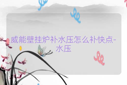 威能壁挂炉补水压怎么补快点-水压