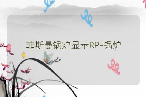 菲斯曼锅炉显示RP-锅炉