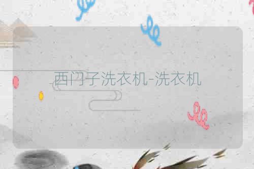 西门子洗衣机-洗衣机