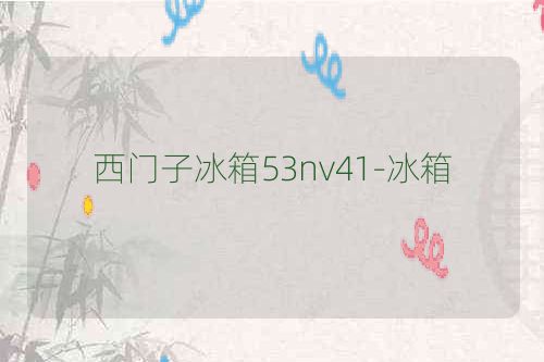 西门子冰箱53nv41-冰箱