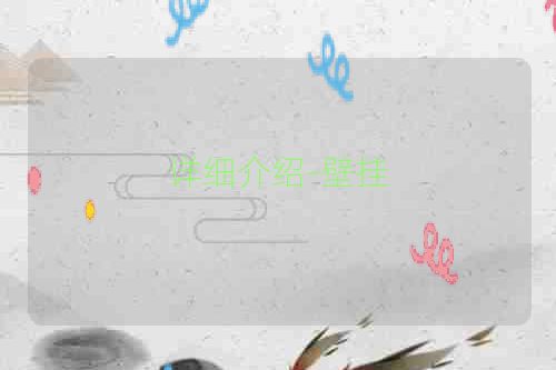 详细介绍-壁挂