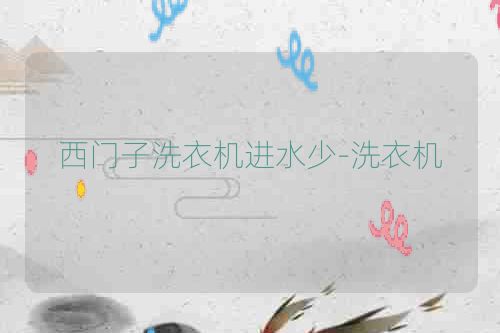 西门子洗衣机进水少-洗衣机