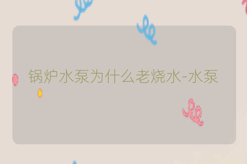 锅炉水泵为什么老烧水-水泵