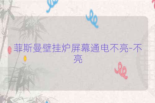 菲斯曼壁挂炉屏幕通电不亮-不亮