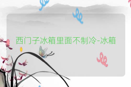 西门子冰箱里面不制冷-冰箱