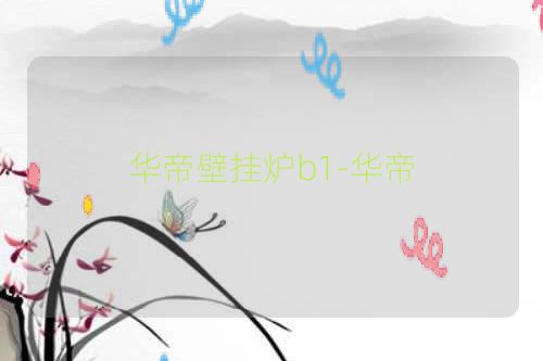 华帝壁挂炉b1-华帝