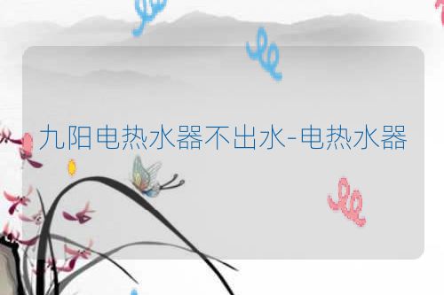 九阳电热水器不出水-电热水器