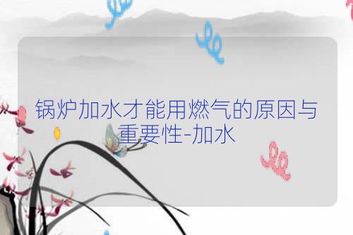 锅炉加水才能用燃气的原因与重要性-加水