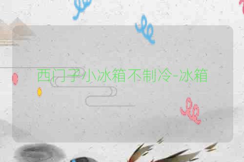 西门子小冰箱不制冷-冰箱