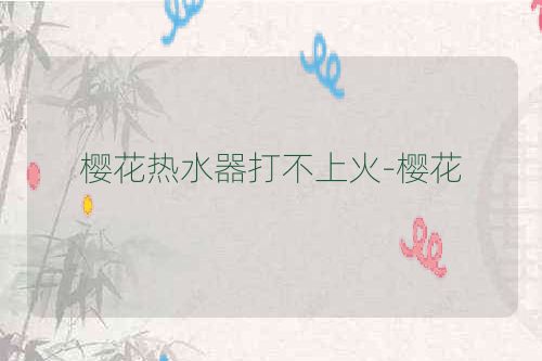 樱花热水器打不上火-樱花