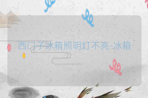 西门子冰箱照明灯不亮-冰箱