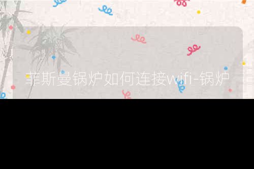 菲斯曼锅炉如何连接wifi-锅炉