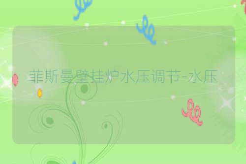 菲斯曼壁挂炉水压调节-水压