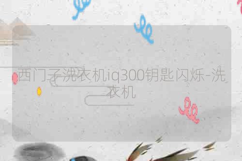 西门子洗衣机iq300钥匙闪烁-洗衣机