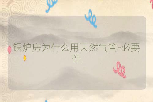 锅炉房为什么用天然气管-必要性