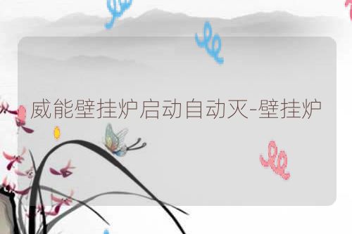 威能壁挂炉启动自动灭-壁挂炉